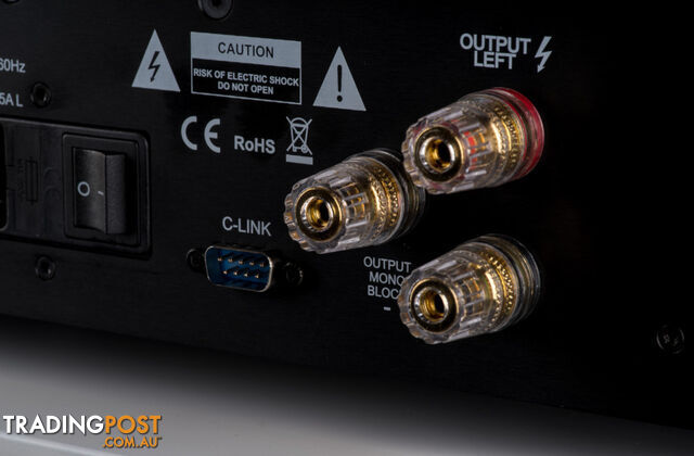 Canor AI 1.20 Integrated Solid State Amplifier - photo 4 of 12