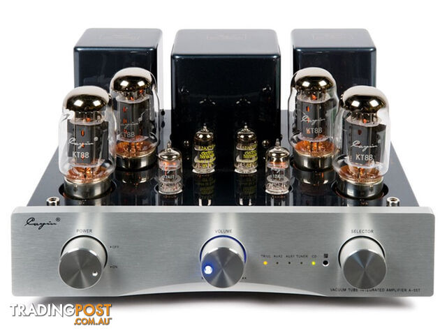 Cayin CS-55A Integrated Valve Amplifier - photo 2 of 3