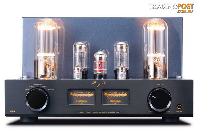 Cayin Jazz 100 Vacuum Tube Amplifier - photo 3 of 5