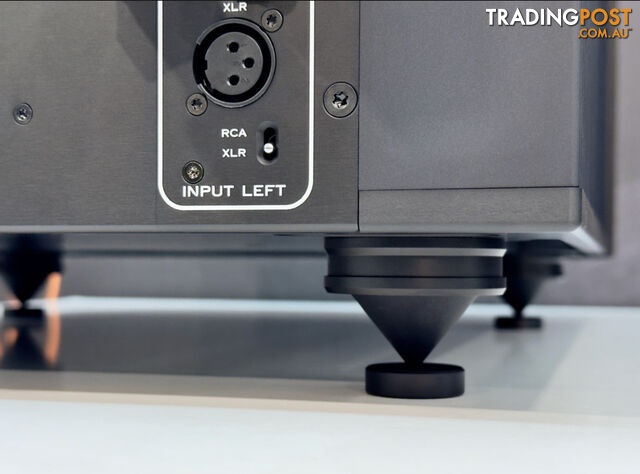Canor Virtus S1S Solid State Dual-Mono Power Amplifier - photo 4 of 9