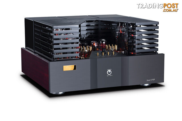 Cayin Soul 170P Class A Power Amplifier - photo 2 of 8