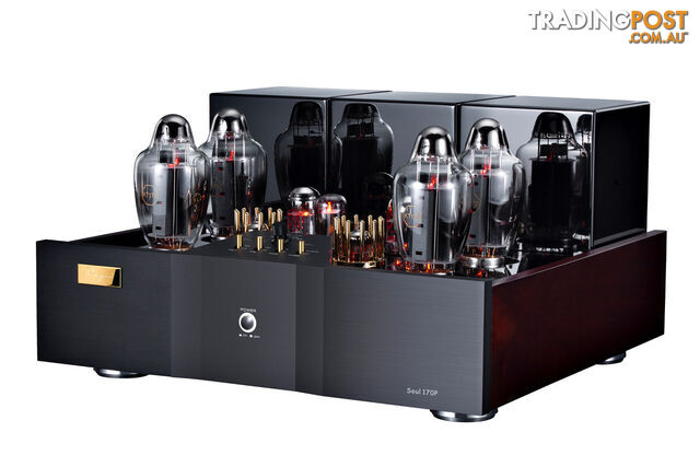 Cayin Soul 170P Class A Power Amplifier - photo 3 of 8