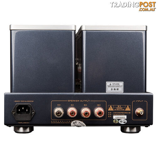 Cayin CS-845M Class A Mono Block Valve Power Amplifier (Pair) - photo 3 of 5