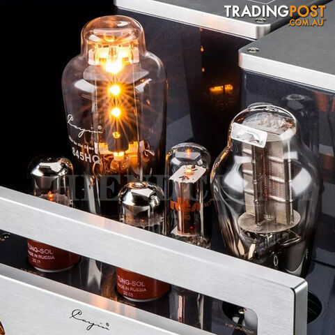 Cayin CS-845M Class A Mono Block Valve Power Amplifier (Pair) - photo 4 of 5
