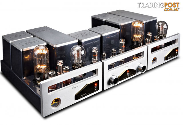 Cayin CS-845M Class A Mono Block Valve Power Amplifier (Pair) - photo 5 of 5