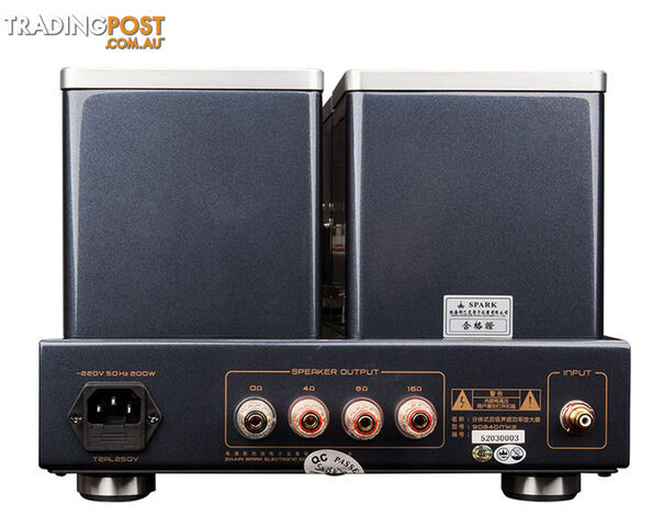 Cayin 9084D Mk2 Mono Block Power Amplifier