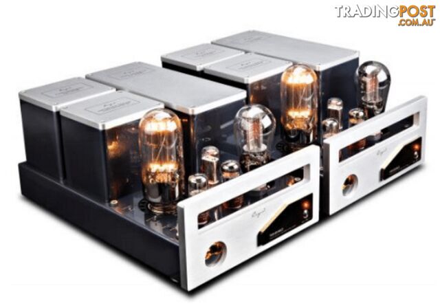Cayin 9084D Mk2 Mono Block Power Amplifier