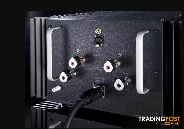 Pass Labs Xs300 Monoblock Power Amplifier (Pair) in Silver - photo 3 of 3