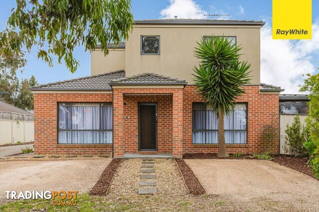 1 25 Lomandra Bowl HARKNESS VIC 3337