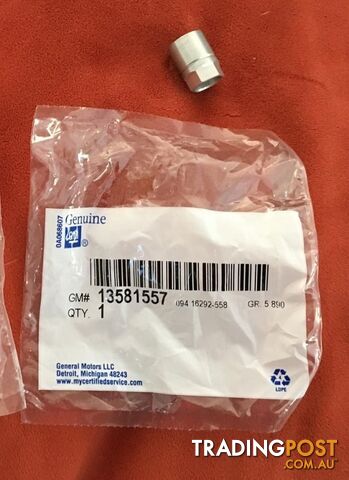 Genuine GM Tire Pressure Monitoring System Sensor Nut 13581557 - photo 2 of 2