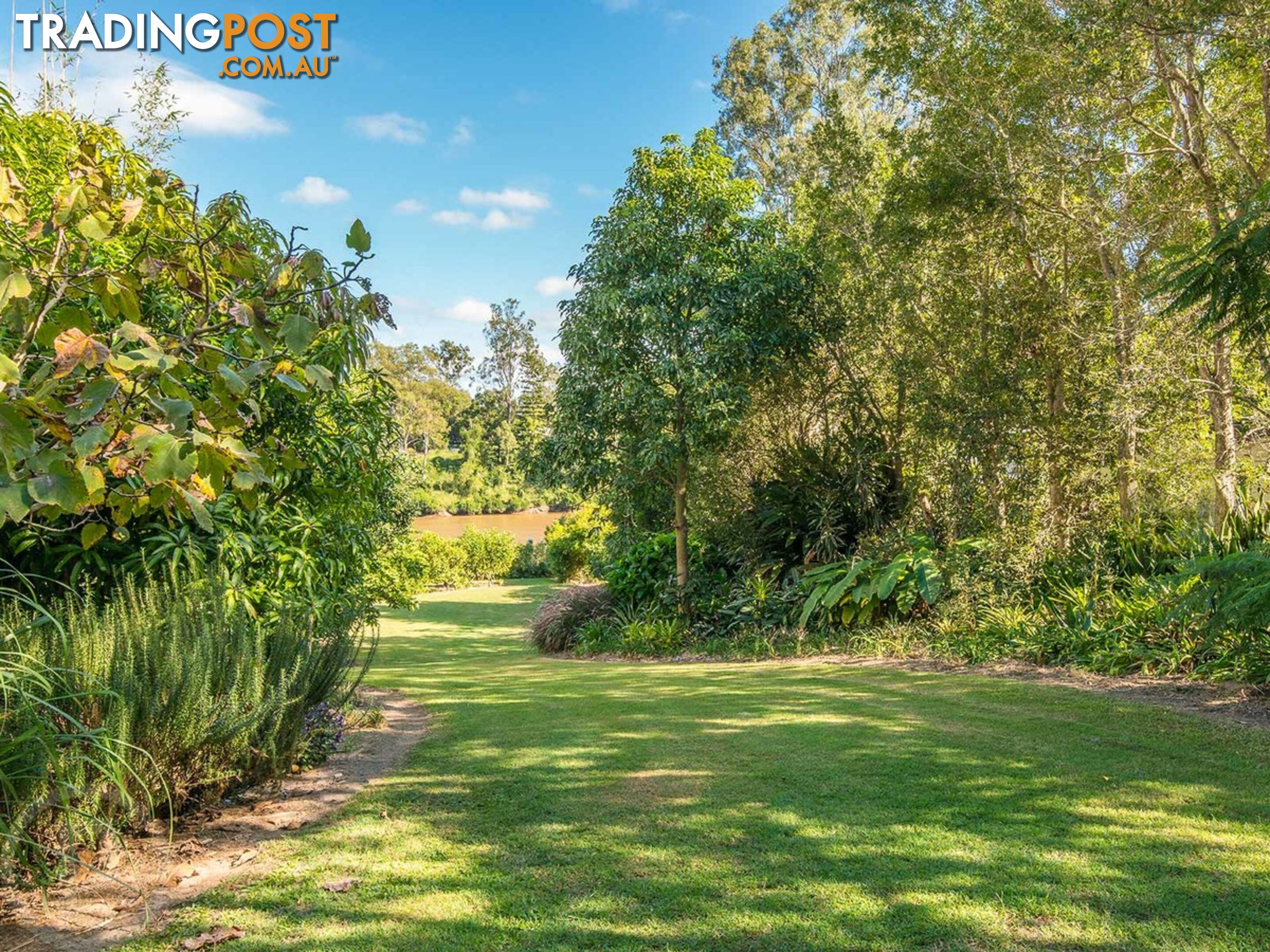 20 Douglas Street Sherwood QLD 4075