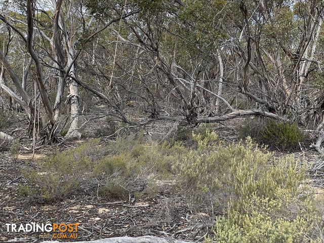 714 and 715 Pygery-Port Kenny Road Mount Cooper SA 5671 - photo 5 of 10