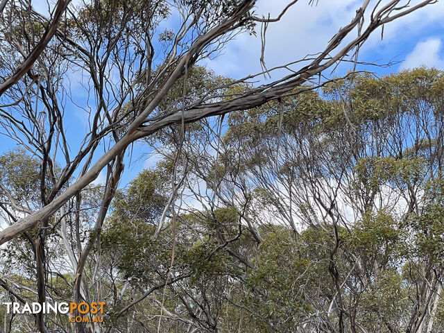 714 and 715 Pygery-Port Kenny Road Mount Cooper SA 5671 - photo 4 of 10