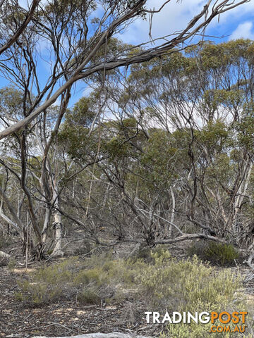 714 and 715 Pygery-Port Kenny Road Mount Cooper SA 5671 - photo 3 of 10