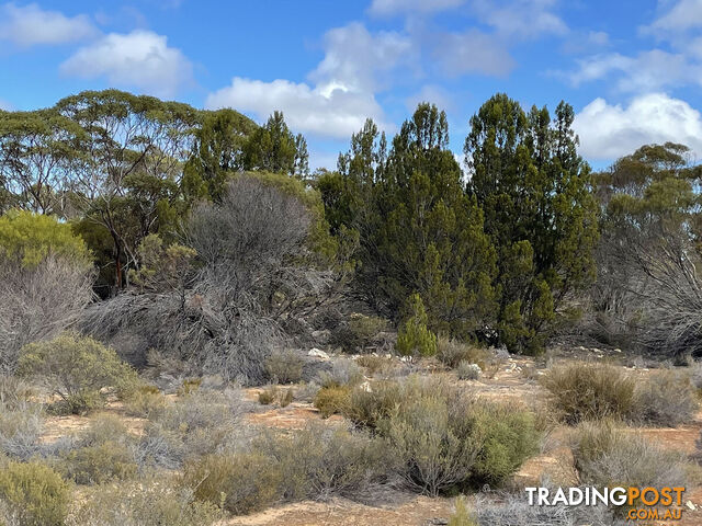 714 and 715 Pygery-Port Kenny Road Mount Cooper SA 5671 - photo 2 of 10