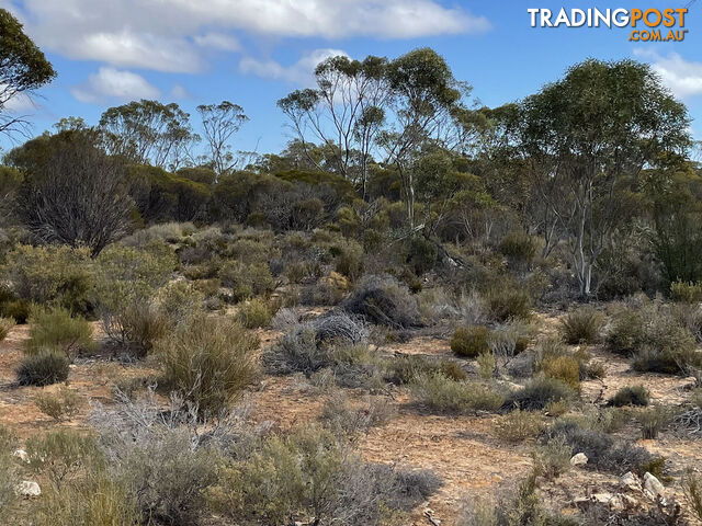 714 and 715 Pygery-Port Kenny Road Mount Cooper SA 5671