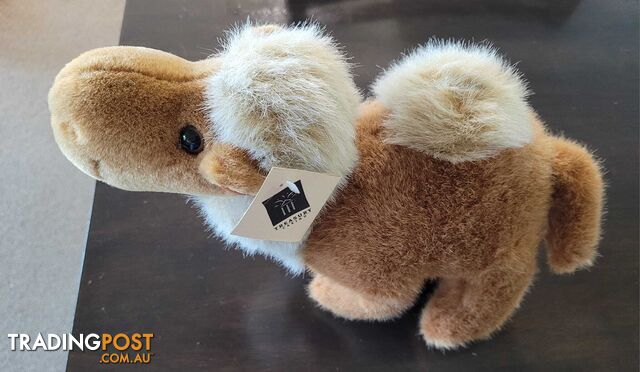 Treasury Casino Lawrence the Camel Plush