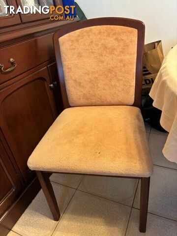 Dining Chairs