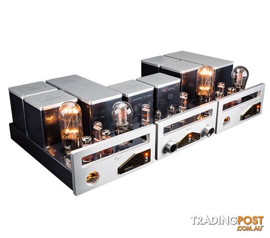 Cayin 9084D Mk2 Mono Block Power Amplifier - photo 2 of 2