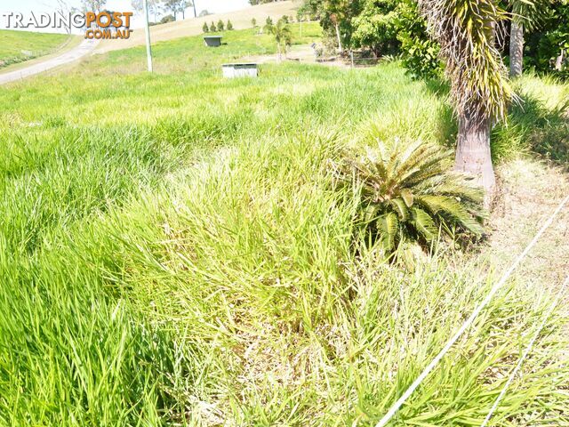 163 Fenech Avenue ALLIGATOR CREEK QLD 4740