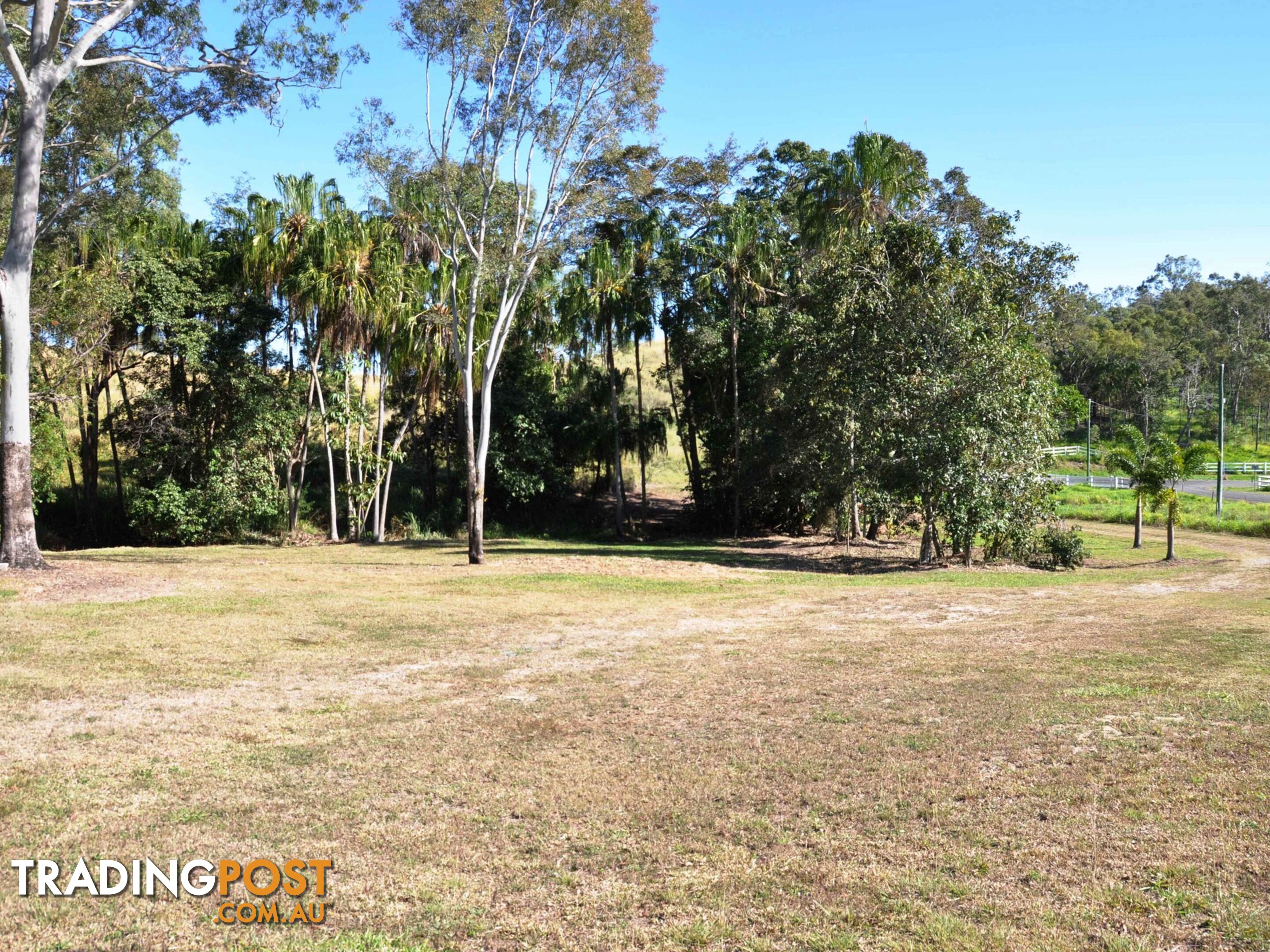 163 Fenech Avenue ALLIGATOR CREEK QLD 4740