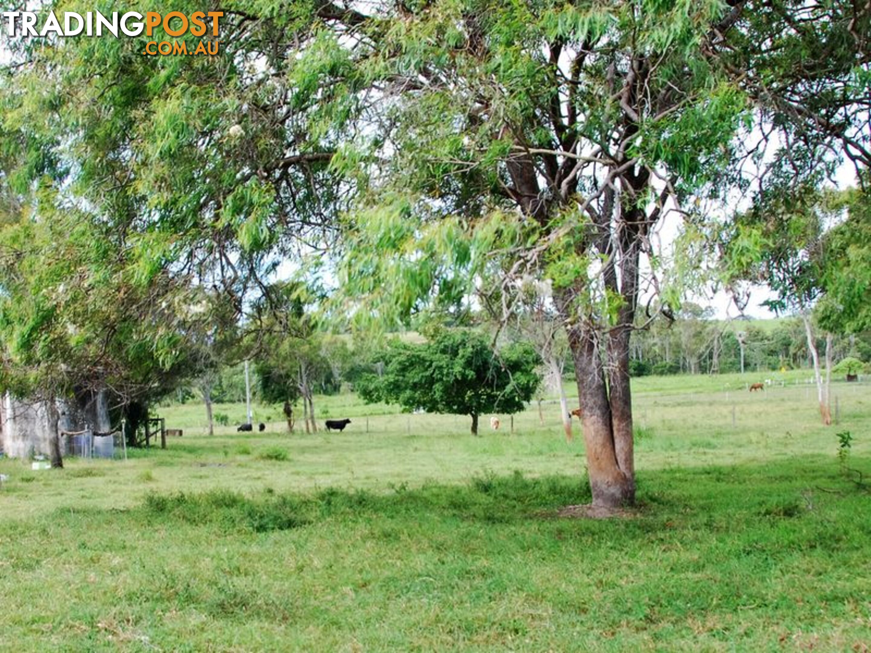 17 Coleshill Drive ALLIGATOR CREEK QLD 4740