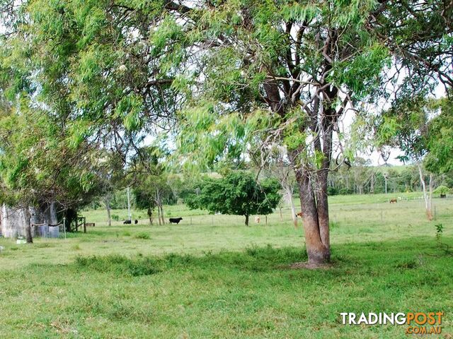 17 Coleshill Drive ALLIGATOR CREEK QLD 4740