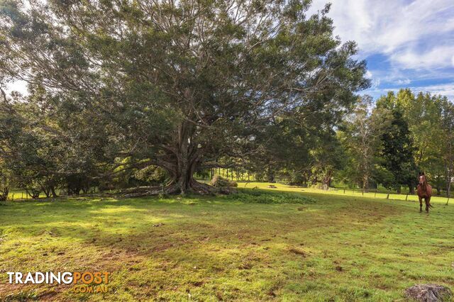 755 Houghlahans Creek Road PEARCES CREEK NSW 2477