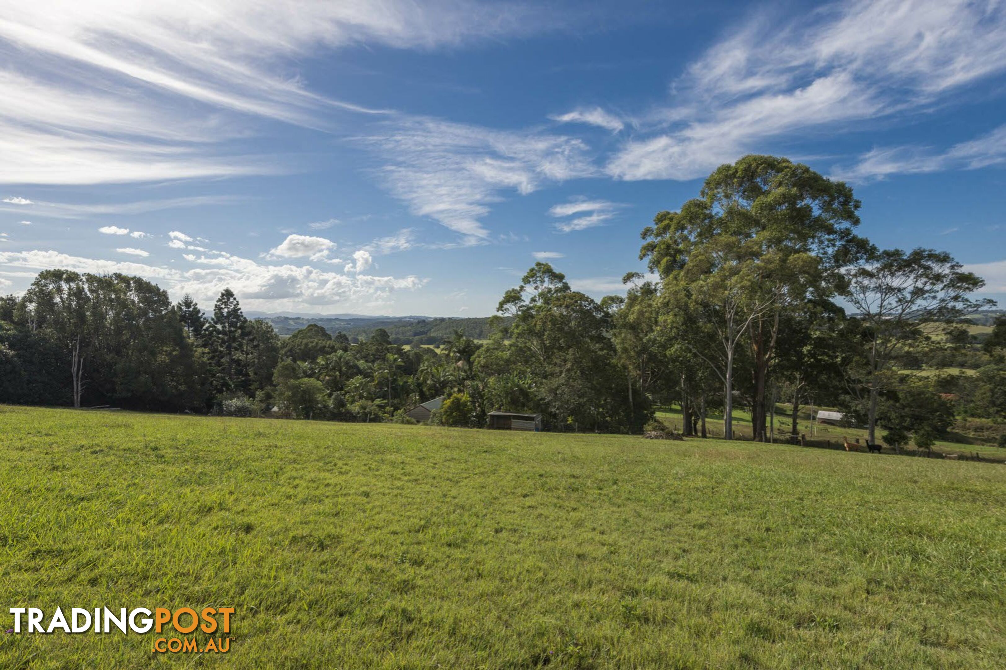 755 Houghlahans Creek Road PEARCES CREEK NSW 2477