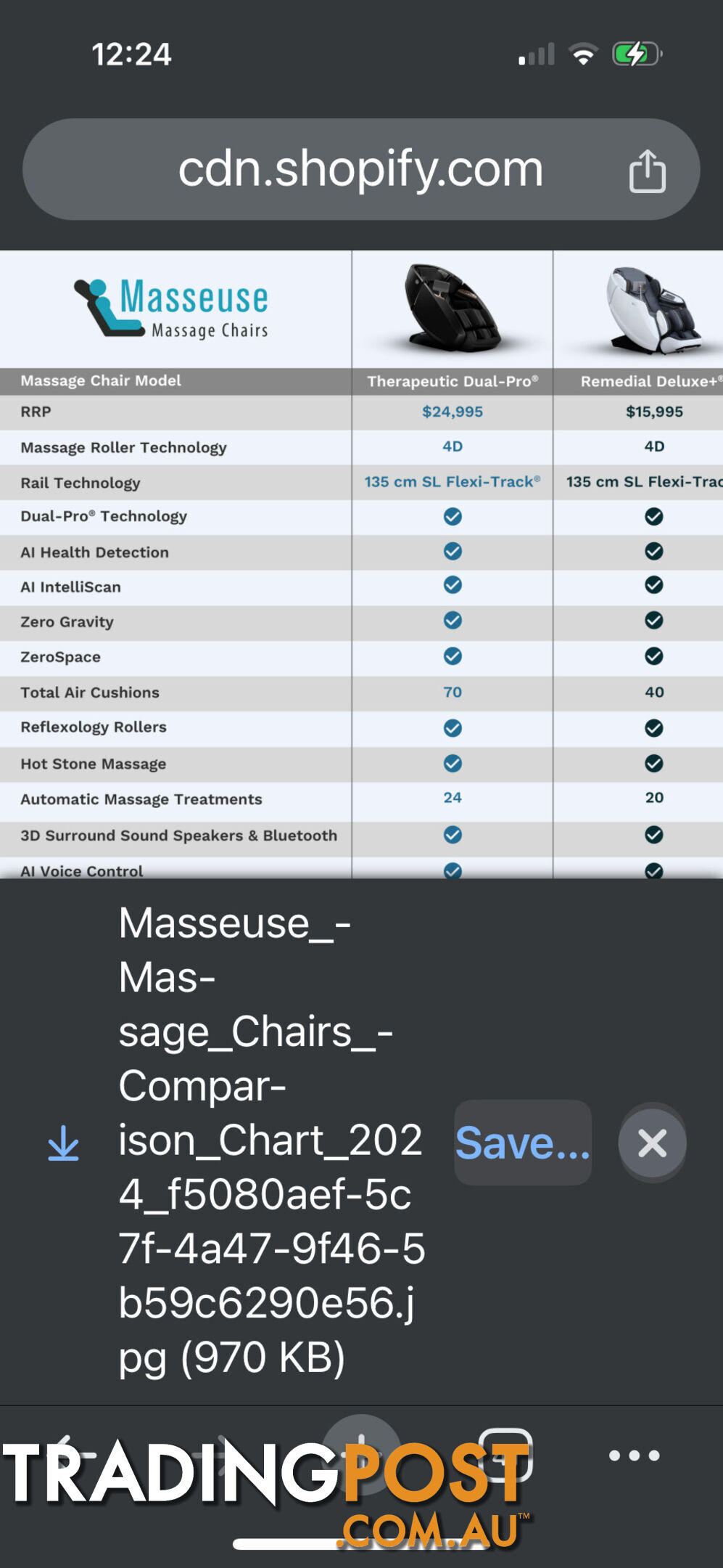 Therapeutic Dual Pro Masseuse chair