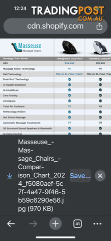 Therapeutic Dual Pro Masseuse chair