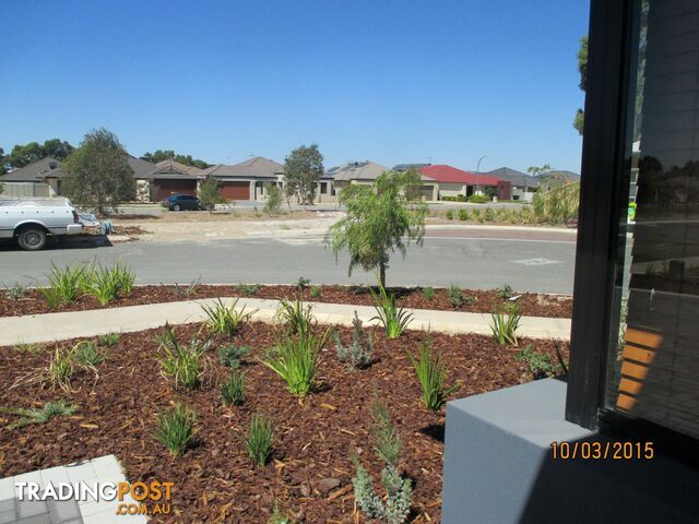 19 Lee-Steere Crescent PIARA WATERS WA 6112