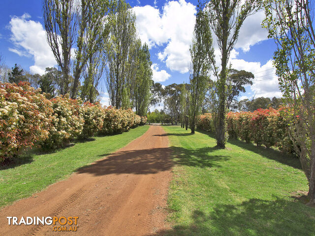 41 Pinegrove Road Armidale NSW 2350