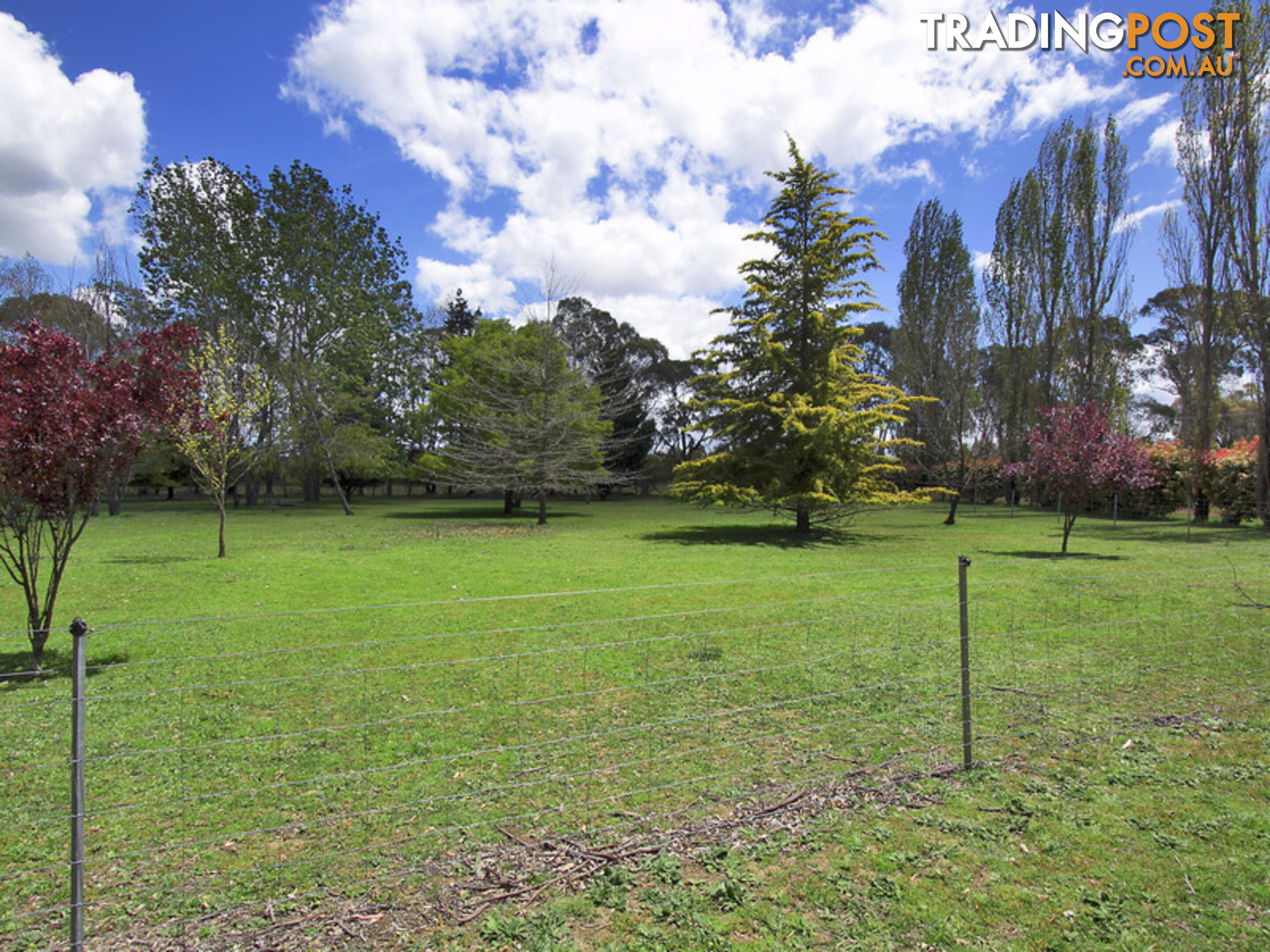 41 Pinegrove Road Armidale NSW 2350