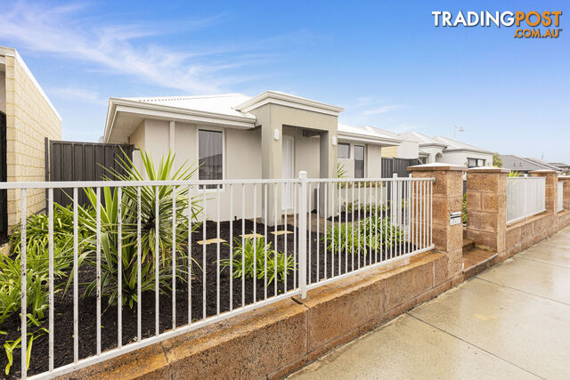 7 Hybrid Green BANKSIA GROVE WA 6031