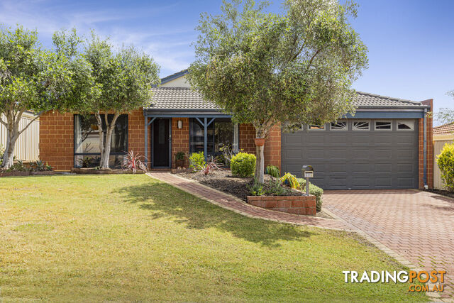 26 Kalix Elbow MERRIWA WA 6030
