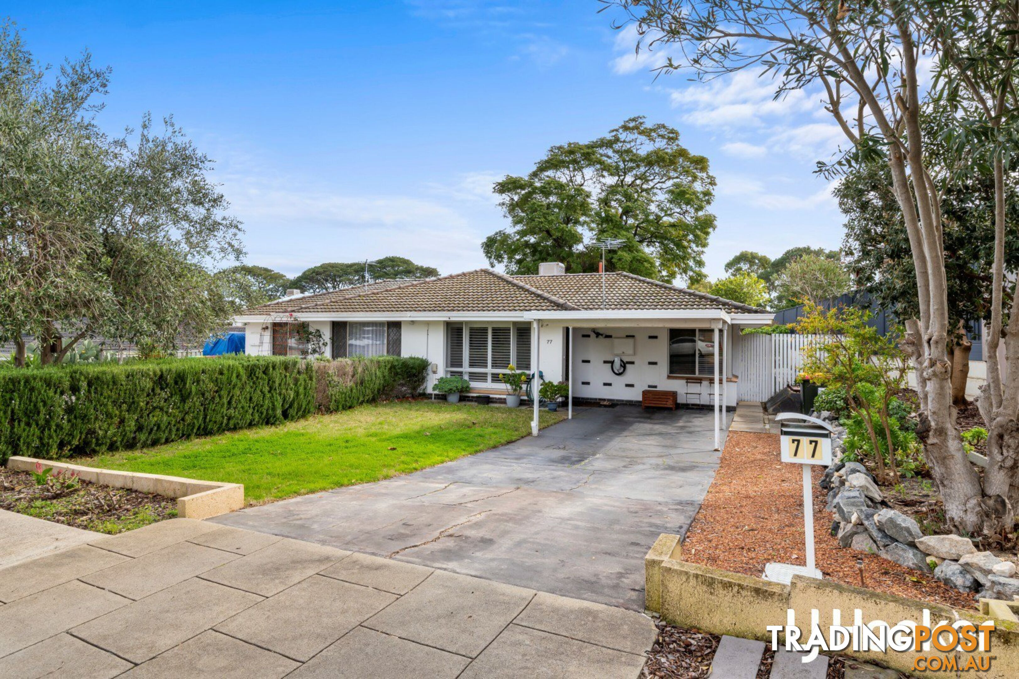 77 Ashburton Street EAST VICTORIA PARK WA 6101