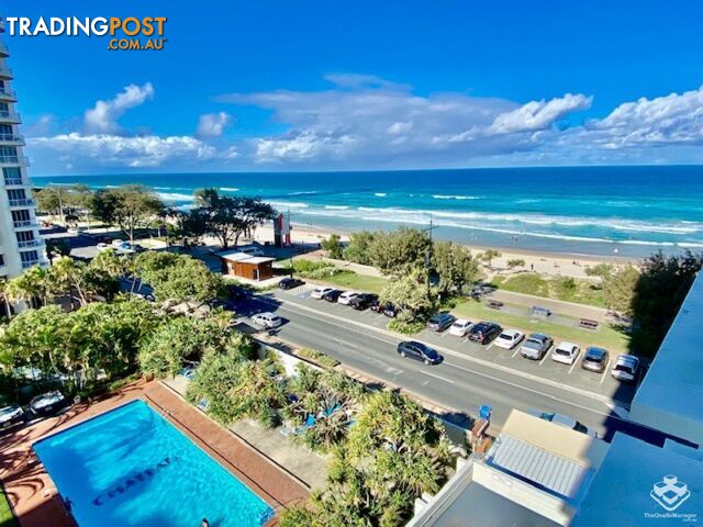 ID:21142296/52 The Esplanade Surfers Paradise QLD 4217