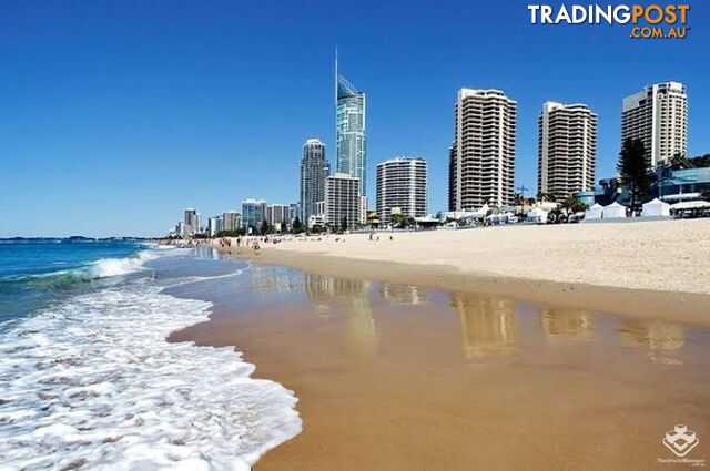 ID:21142296/52 The Esplanade Surfers Paradise QLD 4217