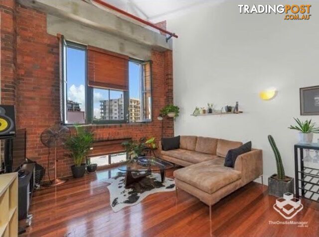 ID:21185335 241 Arthur Street Teneriffe QLD 4005 - photo 5 of 8