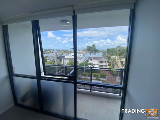 ID:21128183/256 Stanhill Drive Surfers Paradise QLD 4217