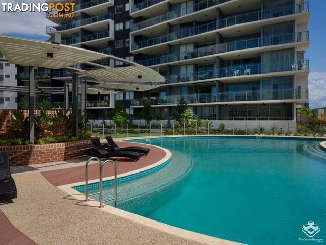 ID:21144836/321 Montague Rd West End QLD 4101