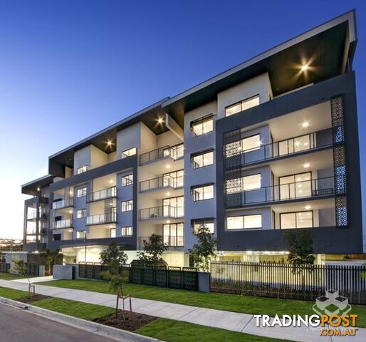 ID:21203128 21 Bombery Street Cannon Hill QLD 4170