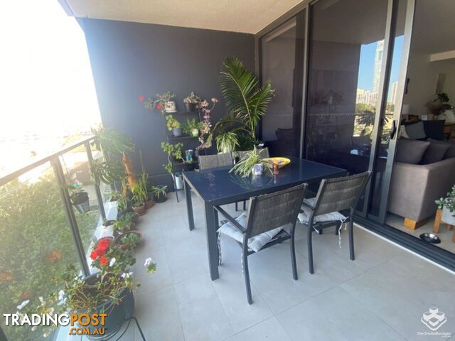 ID:21134857/256 Stanhill Drive Surfers Paradise QLD 4217