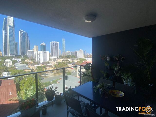 ID:21134857/256 Stanhill Drive Surfers Paradise QLD 4217