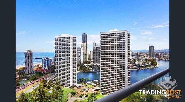 ID:21190321 12 Commodore Drive Surfers Paradise QLD 4217
