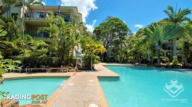 ID:21198492 40 Teemangum Street Currumbin QLD 4223