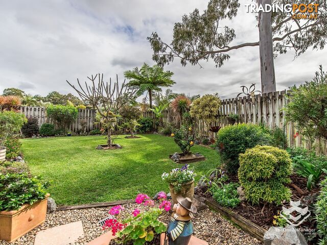 1-5 Studio Drive Pacific Pines QLD 4211