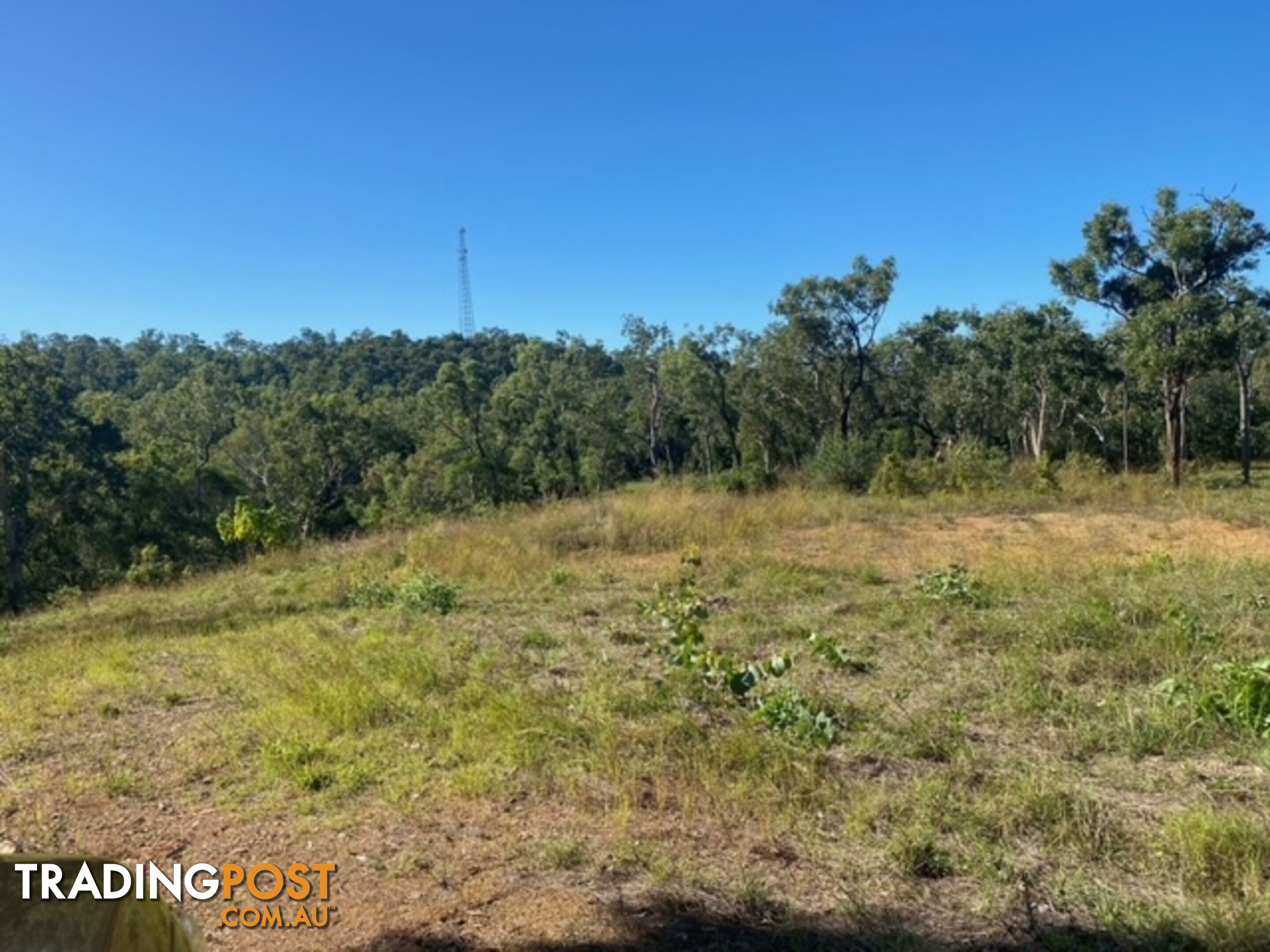 ID:21135803/9 Snow Gum Court Midge Point QLD 4799