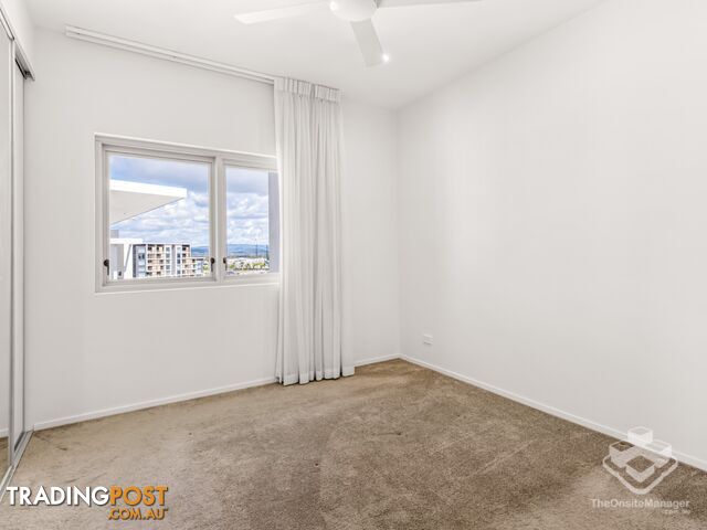 ID:21190726 93 Sheehan Avenue Hope Island QLD 4212 - photo 5 of 8